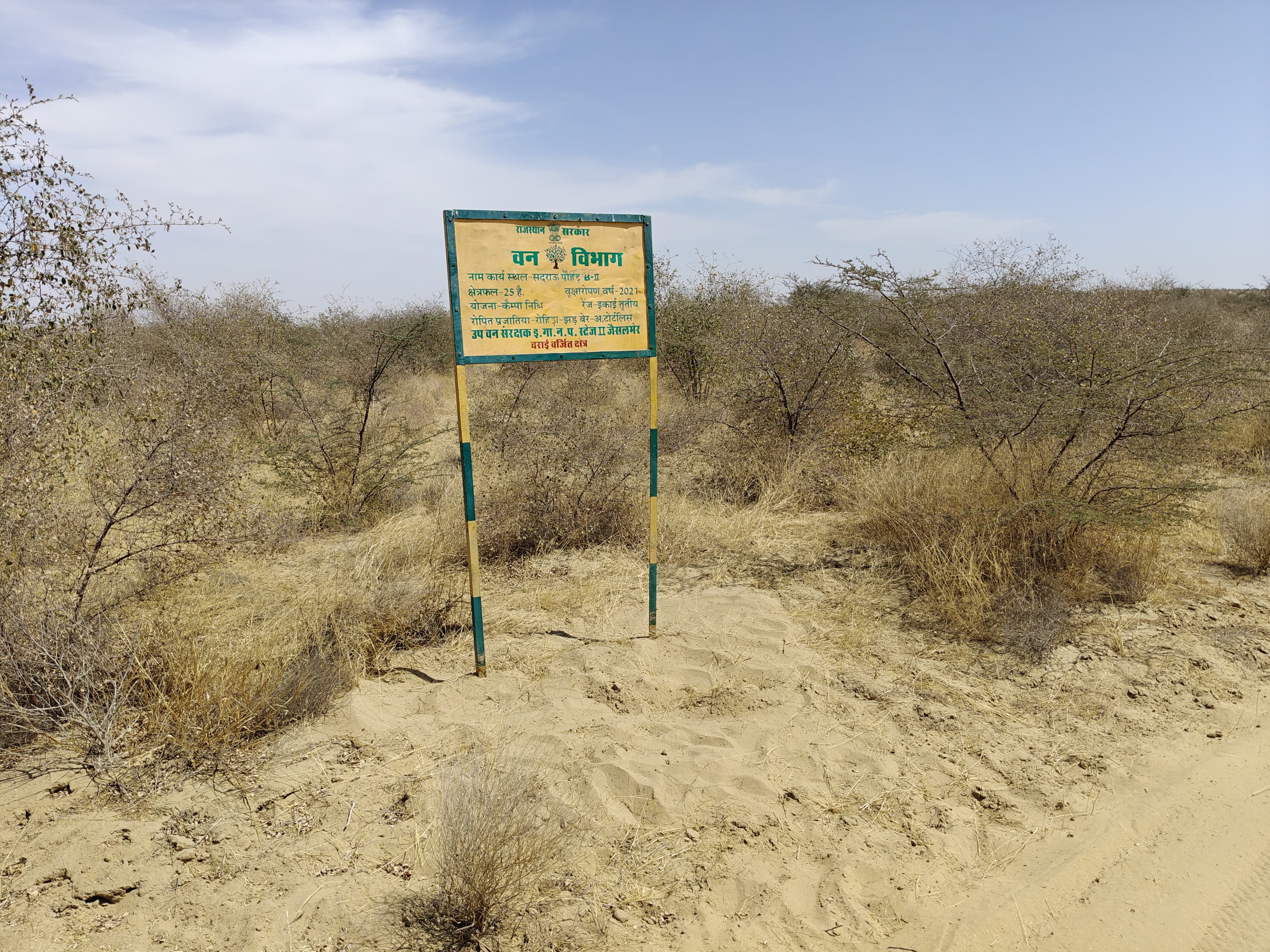 Compensatory Afforestation